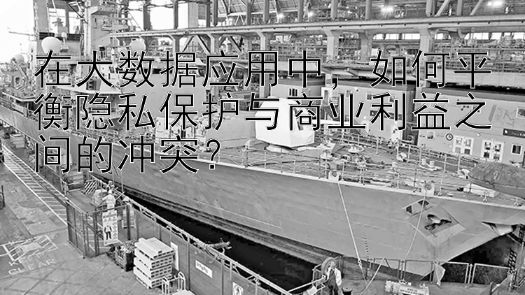 在大数据应用中，如何平衡隐私保护与商业利益之间的冲突？