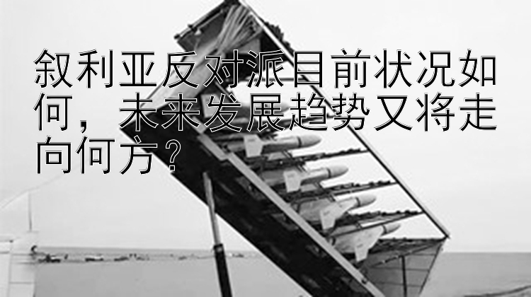 叙利亚反对派目前状况如何，未来发展趋势又将走向何方？