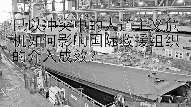 巴以冲突中的人道主义危机如何影响国际救援组织的介入成效？