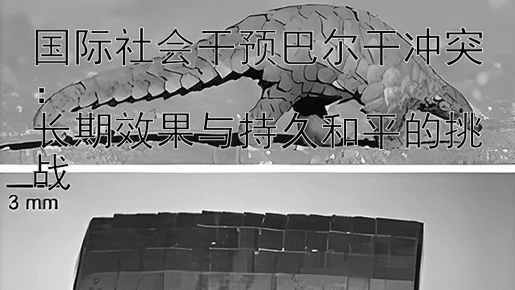 国际社会干预巴尔干冲突：  
长期效果与持久和平的挑战